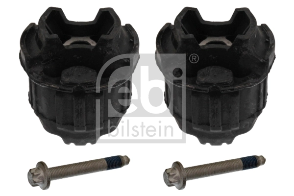 Bush Set, axle beam